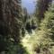 wf_ladir_las-vals_fs-1.1_2013.jpg