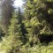 wf_ladir_las-vals_fs-1.2_2013.jpg