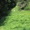 wf_ladir_las-vals_fs-2.2_2013.jpg