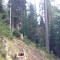wf6_24.jpg
