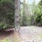 20200625_154216.jpg