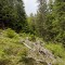 20200625_154236.jpg