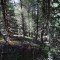 mittel_f2_2_west.jpg