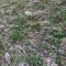 spadlas,-15.05.23-(8).jpg