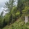 rainwald_f3d.jpg