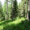 dsc05695.jpg