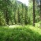 dsc05697.jpg