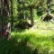 dsc05699.jpg