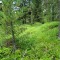 dsc05703.jpg
