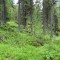 dsc05706.jpg