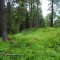dsc05708.jpg
