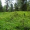 dsc05709.jpg