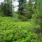 dsc05710.jpg