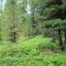 dsc05712.jpg
