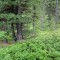 dsc05713.jpg