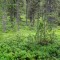 dsc05714.jpg