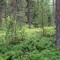 dsc05715.jpg
