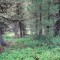 dsc05717.jpg