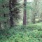 dsc05718.jpg