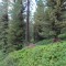 dsc05719.jpg