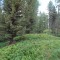 dsc05720.jpg