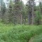 dsc05721.jpg