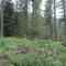 dsc05723.jpg