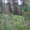dsc05724.jpg