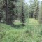dsc05726.jpg