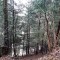 20260414_132615.jpg