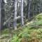 20200609_150224.jpg