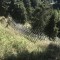 img_3914.jpg