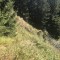 img_3918.jpg