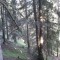 wf_ramosch_bos-ch-grischa-16.jpg