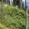 img_6762.jpg
