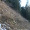 img_4376.jpg