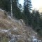 img_4384.jpg