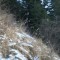img_4391.jpg