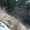 img_4392.jpg