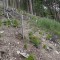 dsc08116.jpg