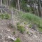 dsc08117.jpg
