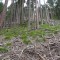 dsc08118.jpg