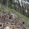 dsc08119.jpg