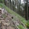 dsc08120.jpg