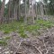 dsc08121.jpg