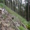 dsc08123.jpg