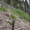 dsc08125.jpg