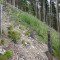 dsc08126.jpg