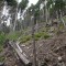 dsc08127.jpg