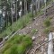 dsc08128.jpg